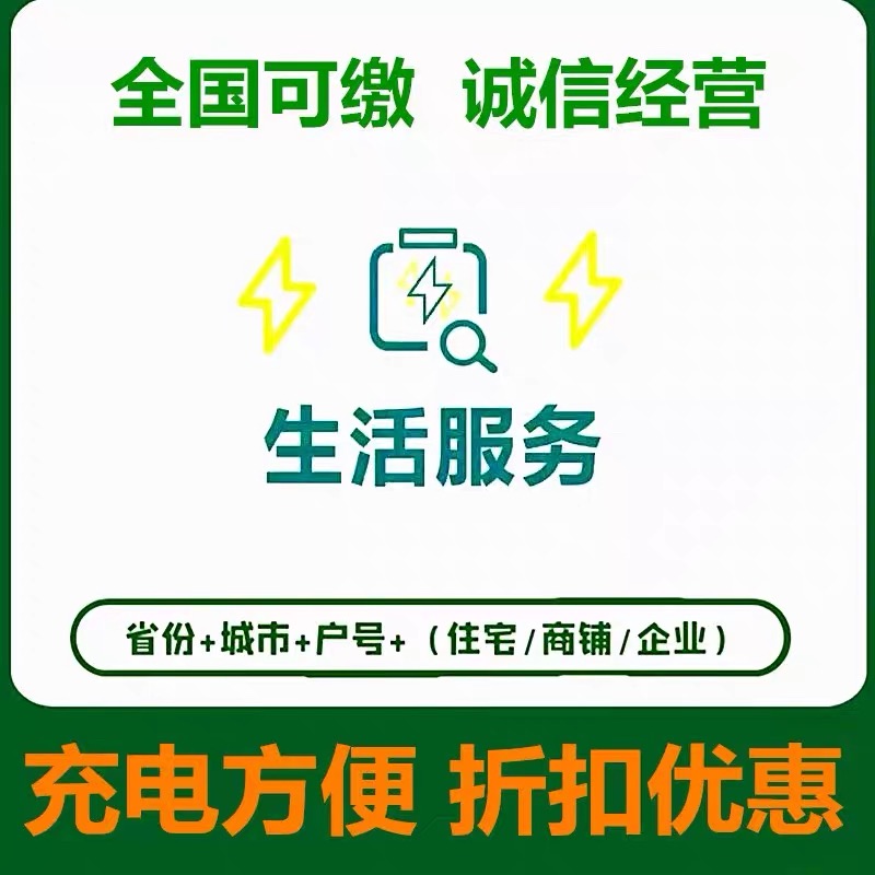 /国网/电费/必需品3000元