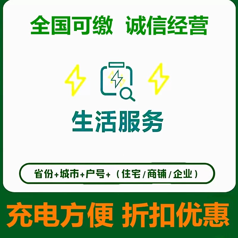 /国网/电费/必需品100元